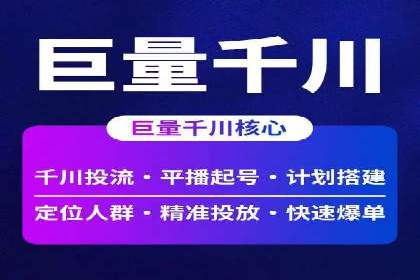 某企业通过SEM实现品牌与销售双增长的案例
